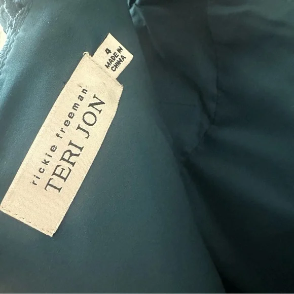 Ricki freeman for Teri Jon Lace Gazar Column Gown size 4 - Picture 6 of 6